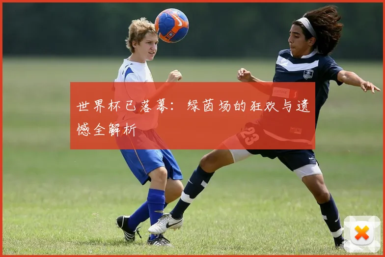 世界杯已落幕：绿茵场的狂欢与遗憾全解析