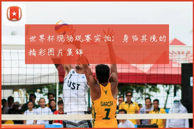 世界杯现场观赛实拍：身临其境的精彩图片集锦