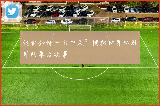 他们如何一飞冲天？揭秘世界杯冠军的幕后故事