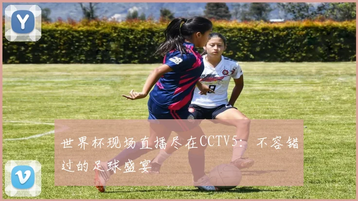 世界杯现场直播尽在CCTV5：不容错过的足球盛宴