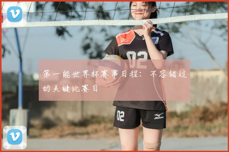 第一能世界杯赛事日程：不容错过的关键比赛日