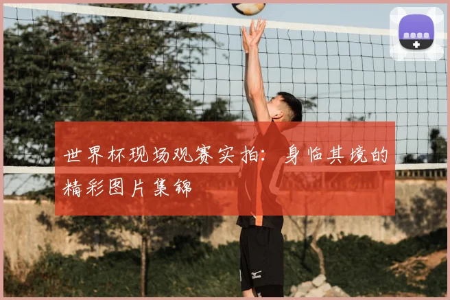 世界杯现场观赛实拍：身临其境的精彩图片集锦