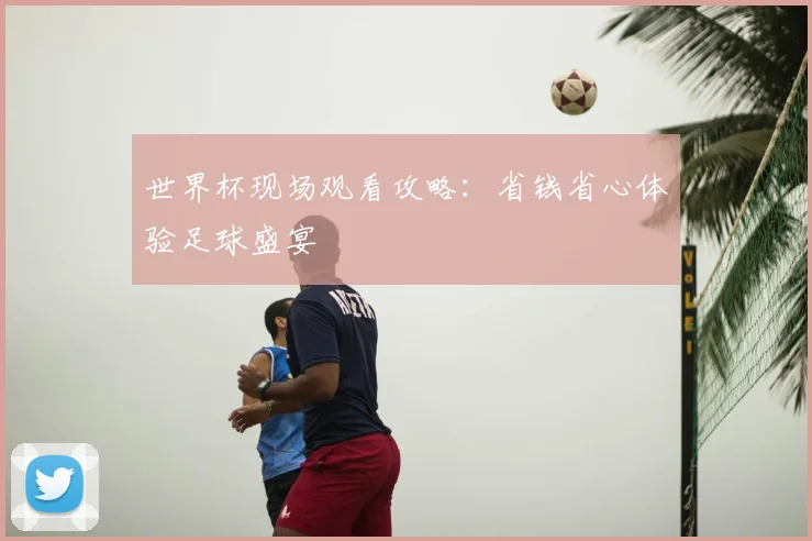 世界杯现场观看攻略：省钱省心体验足球盛宴
