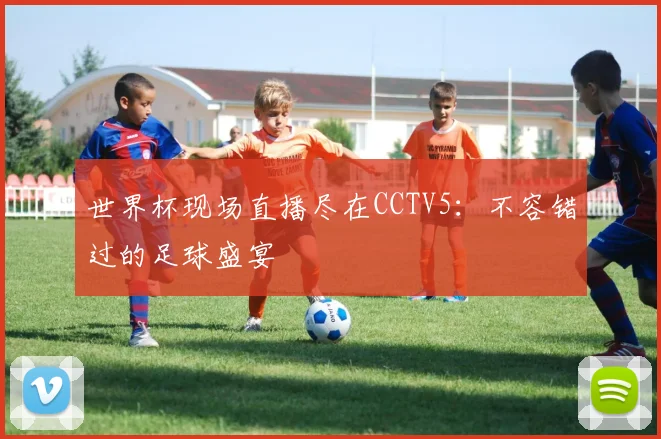 世界杯现场直播尽在CCTV5：不容错过的足球盛宴