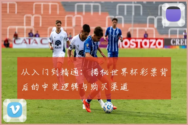 从入门到精通：揭秘世界杯彩票背后的中奖逻辑与购买渠道